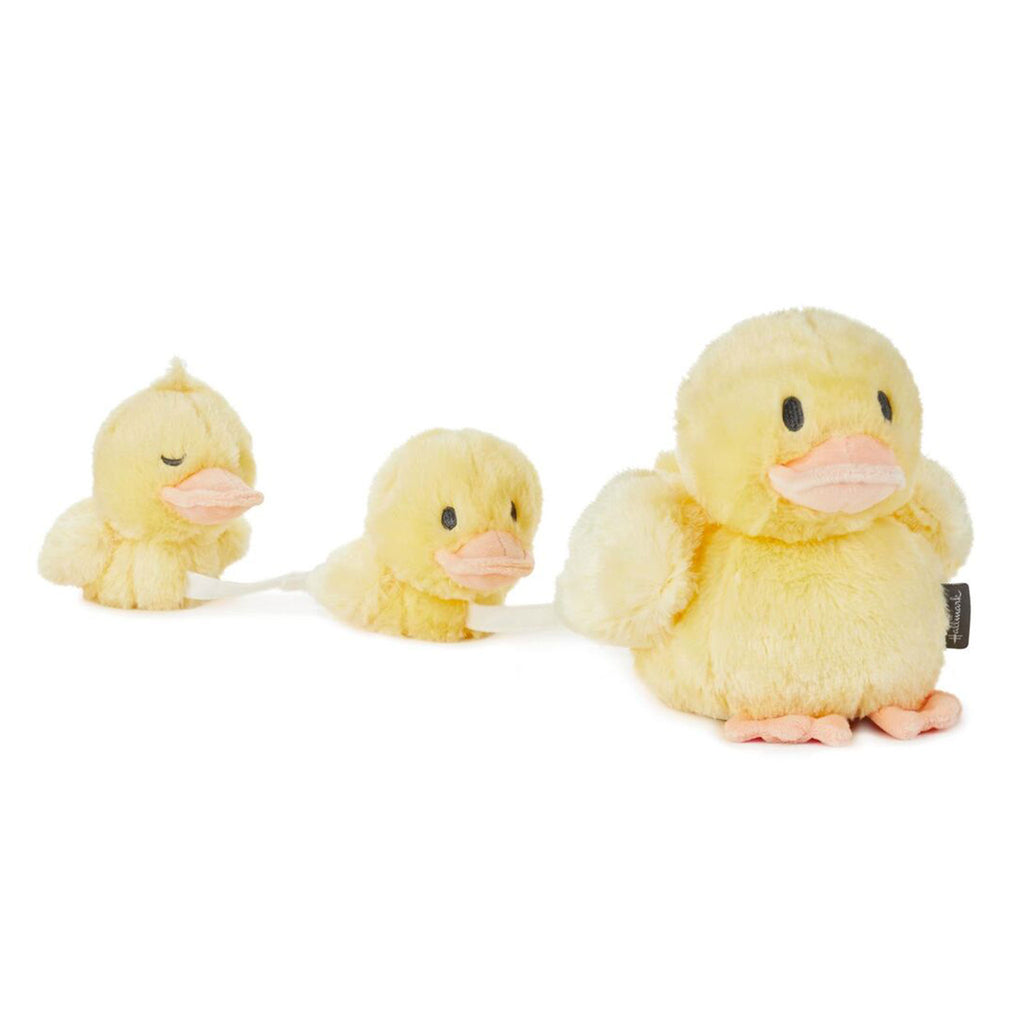 Baby top duck plush