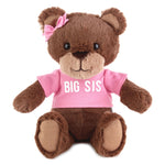 Big Sis Teddy Bear Stuffed Animal