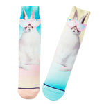 Bunny in Sunglasses Toe of a Kind Novelty Easter Socks